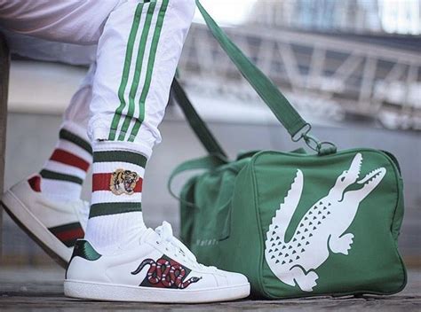 lacoste x gucci